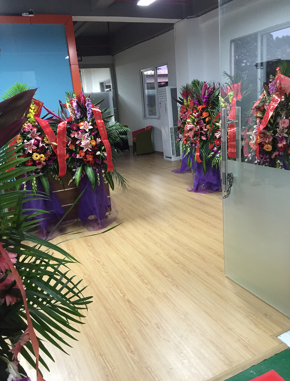 new factory of TIZE dog training products
